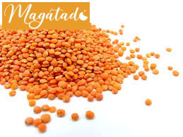 Vöröslencse 1kg